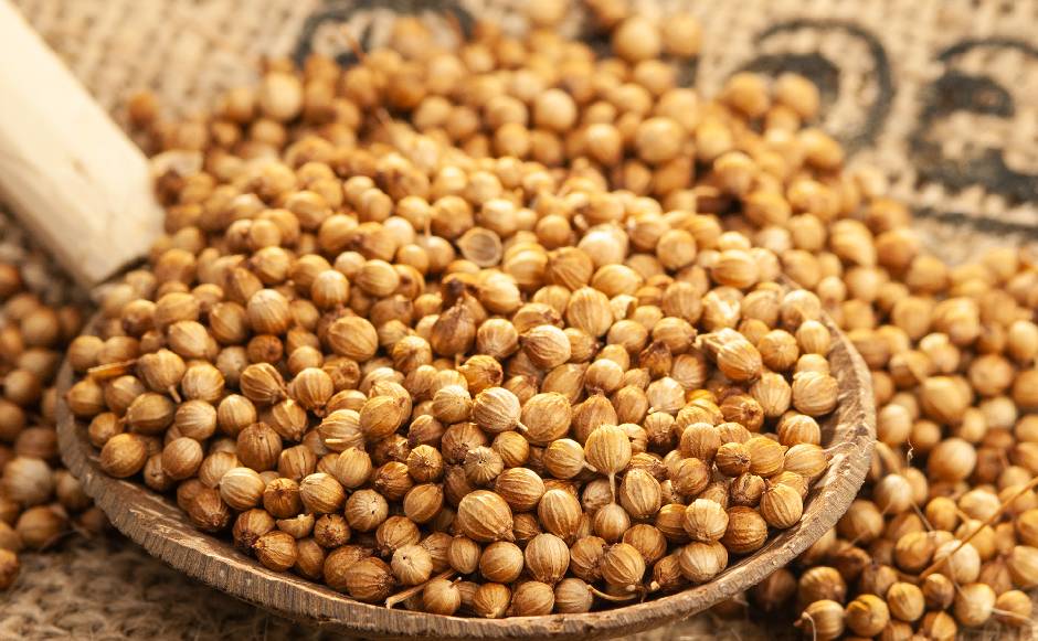 Coriander Coriander