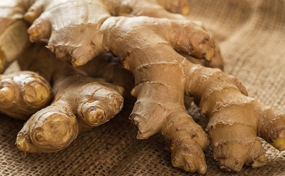 Ginger Ginger